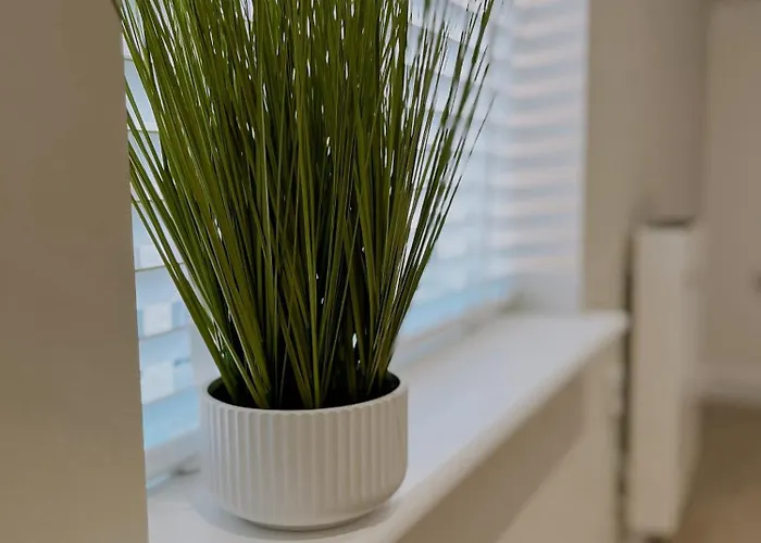 Apartament Ivy Shores *